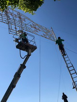  Comitato Festa (2019)