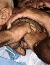  Accursio Castrogiovanni